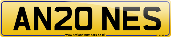 AN20 NES