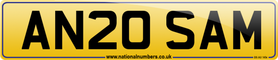 AN20 SAM
