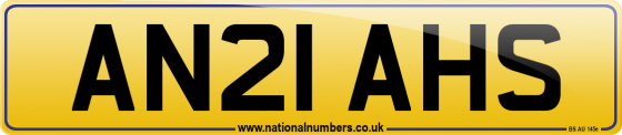 AN21 AHS