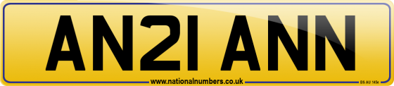 AN21 ANN