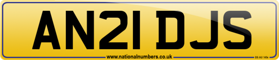 AN21 DJS