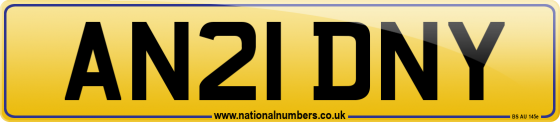 AN21 DNY