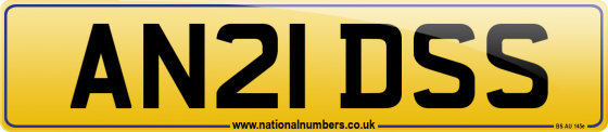 AN21 DSS