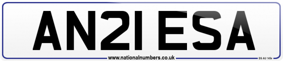 AN21 ESA
