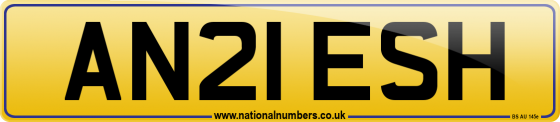 AN21 ESH