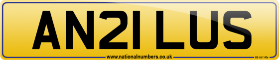 AN21 LUS
