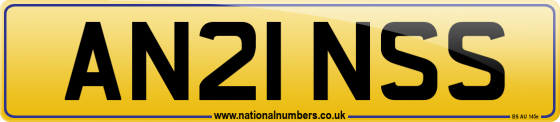AN21 NSS