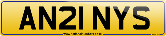 AN21 NYS