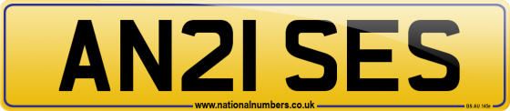AN21 SES