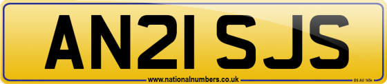 AN21 SJS