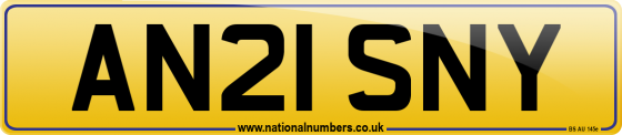 AN21 SNY