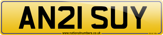 AN21 SUY