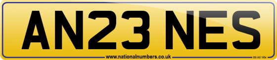 AN23 NES