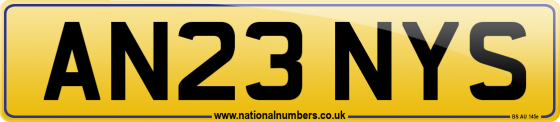 AN23 NYS