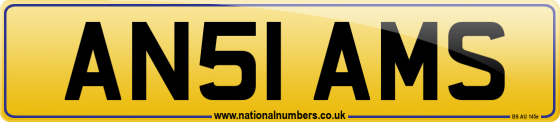 AN51 AMS