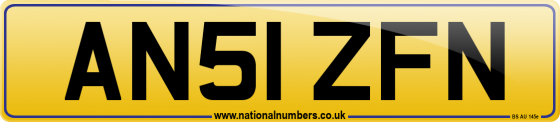 AN51 ZFN
