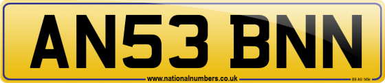 AN53 BNN