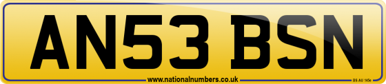 AN53 BSN