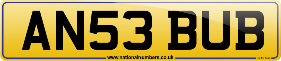 AN53 BUB