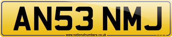 AN53 NMJ