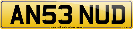 AN53 NUD
