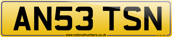 AN53 TSN