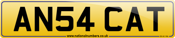 AN54 CAT