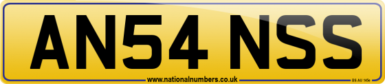 AN54 NSS