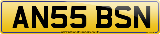 AN55 BSN