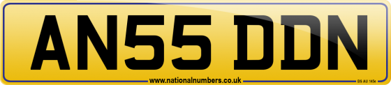AN55 DDN