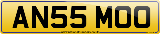 AN55 MOO
