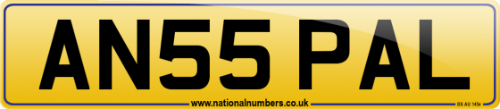 AN55 PAL