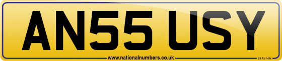 AN55 USY