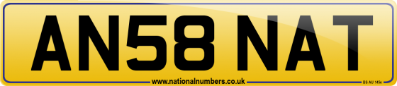 AN58 NAT