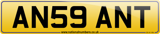 AN59 ANT