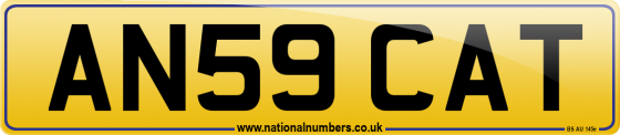 AN59 CAT