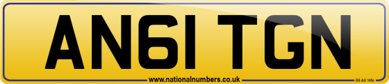 AN61 TGN