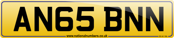 AN65 BNN
