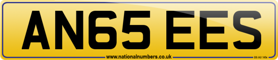 AN65 EES