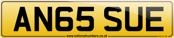AN65 SUE