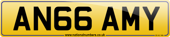 AN66 AMY