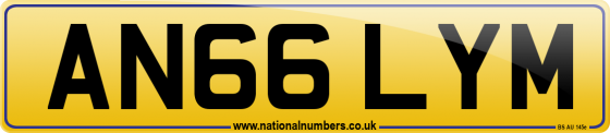 AN66 LYM
