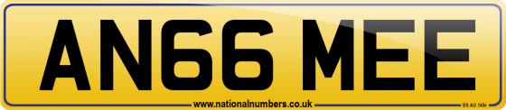 AN66 MEE