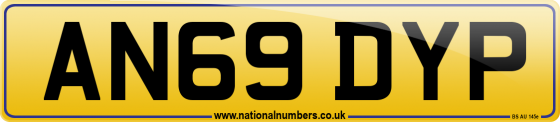 AN69 DYP