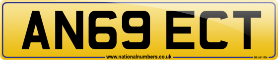 AN69 ECT