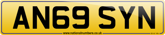 AN69 SYN