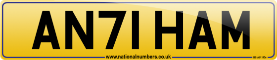 AN71 HAM