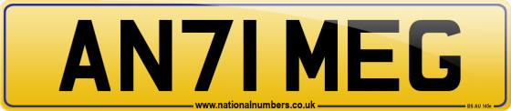 AN71 MEG
