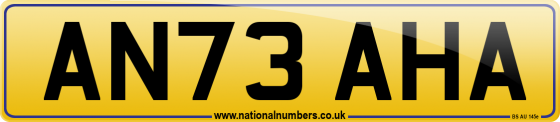 AN73 AHA