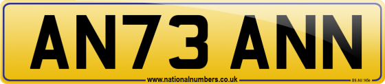 AN73 ANN